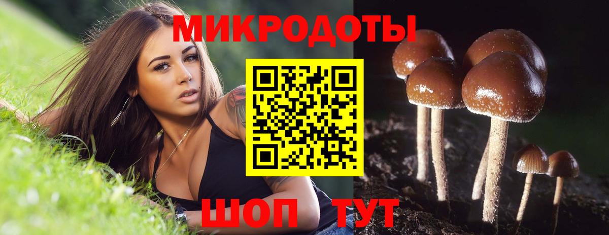 Павловский Посад  Галлюциногенные грибы ЛСД  Вход с VPN 